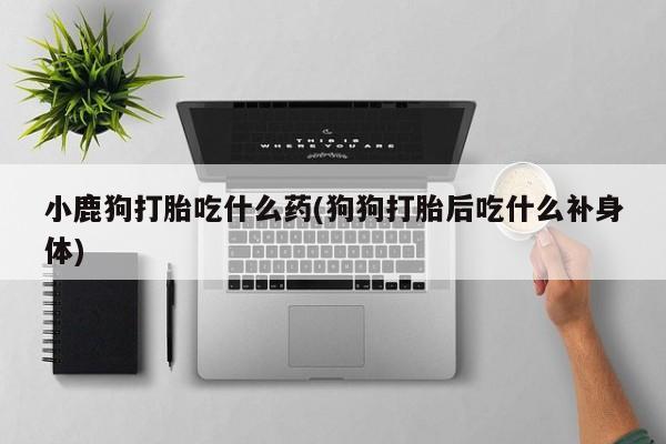 购买打胎药的联系方式，小鹿狗打胎吃什么药(狗狗打胎后吃什么补身体)
