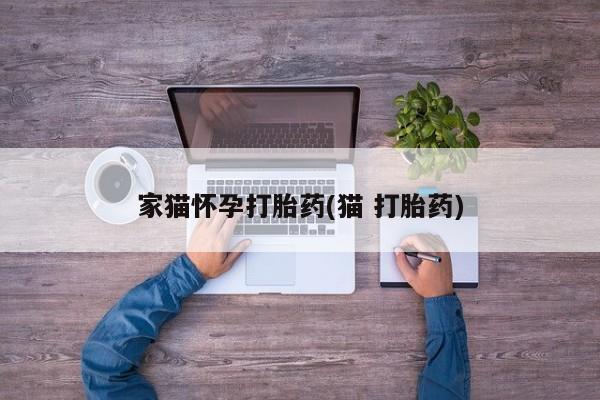 购买打胎药的联系方式，家猫怀孕打胎药(猫 打胎药)